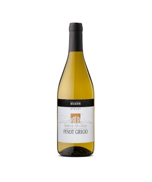 Pinot Grigio Alto Adige DOC 2020 - Cantina Bolzano