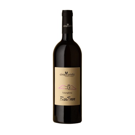 Falanghina Campania IGT BruEmm 2020 - Ciro Picariello