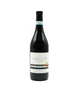 Barbera d'Alba Superiore DOC 2020 - Giacomo Fenocchio