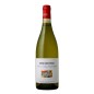 Moscato d'Asti DOCG 2021 - Dogliotti Moscato d'Asti DOCG 2021 - Dogliotti