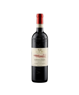 Barbera d’Alba DOC 2019 - Costa di Bussia