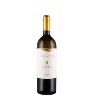 Sauvignon Alto Adige DOC Vigna Castel Ringberg 2020 - Elena Walch