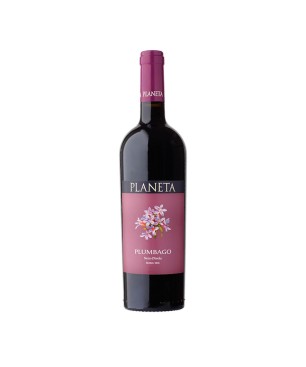 Nero d'Avola Sicilia DOC Plumbago 2019 - Planeta