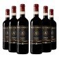 Avignonesi Nobile di Montepulciano Box [6 bot.]