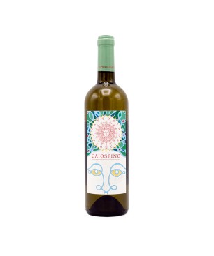 Verdicchio dei Castelli di Jesi Classico Superiore DOC Gaiospino 2020 - Fattoria Coroncino