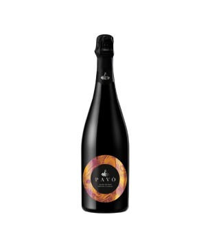 Metodo Classico Extra Dry - Pavò