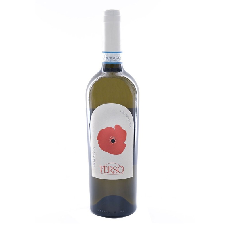 Frascati DOC Terso 2021 - Merumalia Frascati DOC Terso 2021 - Merumalia