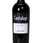 Negroamaro Salento IGP Cantalupi 2021 - Conti Zecca