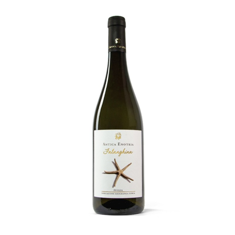 Falanghina Puglia IGT 2022 - Antica Enotria Falanghina Puglia IGT 2022 - Antica Enotria
