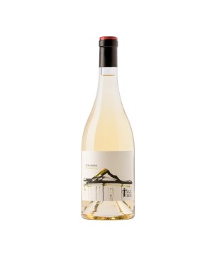 Etna Bianco DOC Scalunera BIO 2022 - Torre Mora