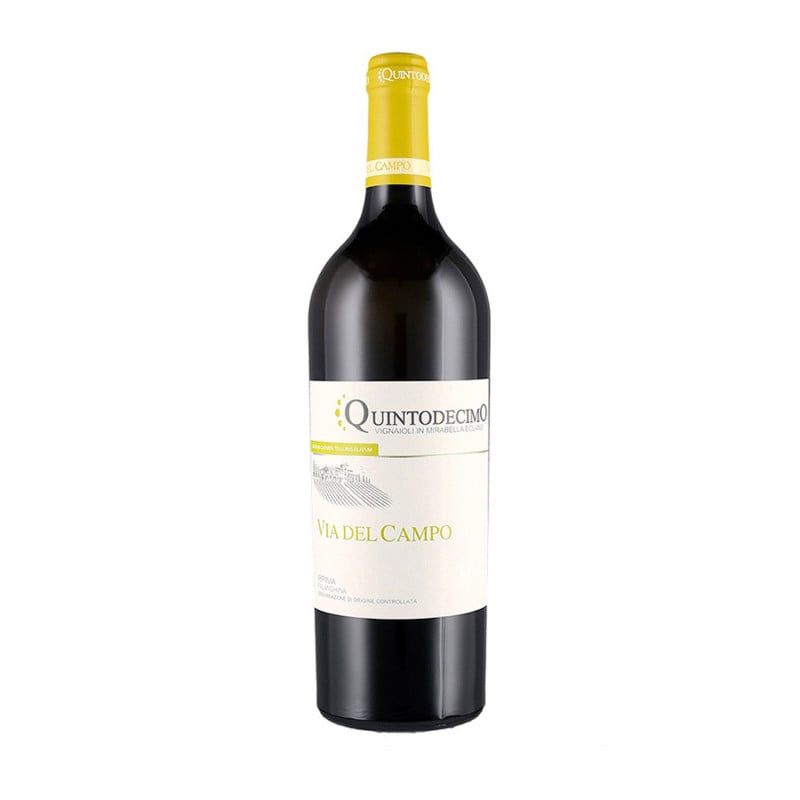Falanghina Irpinia DOC Via del Campo 2022 - Quintodecimo Falanghina Irpinia DOC Via del Campo 2022 - Quintodecimo
