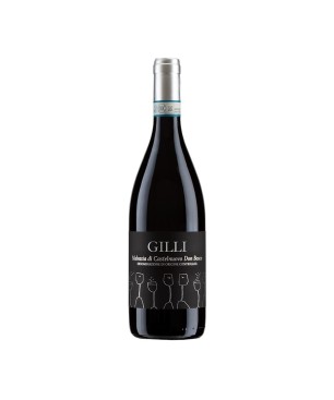 Malvasia di Castelnuovo Don Bosco DOC 2022 - Cascina Gilli