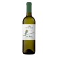 Vernaccia di San Gimignano DOCG Isola Bianca 2022 - Teruzzi Vernaccia di San Gimignano DOCG Isola Bianca 2022 - Teruzzi