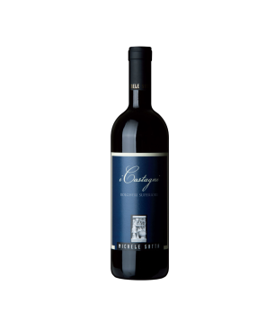 Bolgheri Superiore DOC I Castagni 2013 - Michele Satta