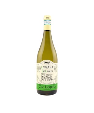 Lugana DOC 2023 - Ca’ Lojera
