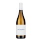 Sauvignon Colli Orientali del Friuli DOC Vini Orsone 2023 - Bastianich