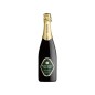 Trento DOC Brut Millesimato 2020 - Altemasi