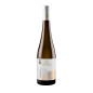 Ribolla Gialla Colli Orientali del Friuli DOC 2023 - Torre Rosazza Ribolla Gialla Colli Orientali del Friuli DOC 2023 - Torre Rosazza