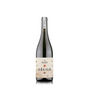 Souvignier Gris Mitterberg IGT Cécile 2023 - Dornach Patrick Uccelli