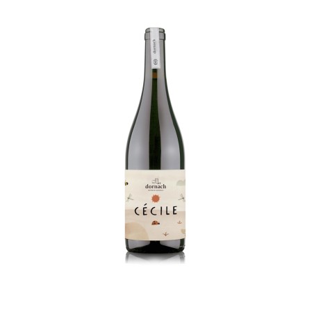 Souvignier Gris Mitterberg IGT Cécile 2023 - Dornach Patrick Uccelli