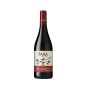 Syrah Toscana IGT Sarà 2018 - Colognole
