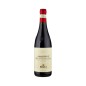 Amarone della Valpolicella Classico DOCG 2019 - Bolla