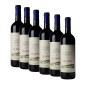 Le Difese Toscana Rosso IGT 2021 - Tenuta San Guido [Box 6 bottles]