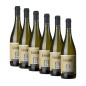 Giovin Re Viognier Toscana IGT 2022 - Michele Satta [Box 6 bottles]