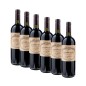 Cabernet Sauvignon Maestro Raro 2019 -  Felsina [Original wooden case, 6 bottles]