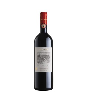 Chianti Classico Riserva DOCG Monsenese 2020 - San Leonino