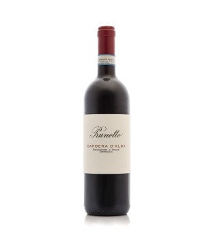 Barbera d'Alba DOC 2024 - Prunotto