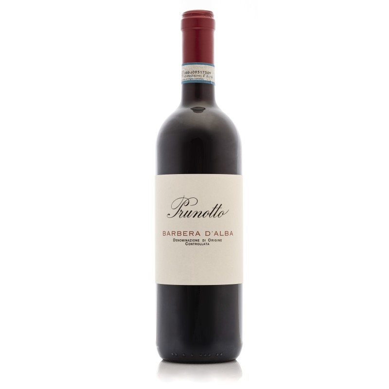 Barbera d'Alba DOC 2024 - Prunotto Barbera d'Alba DOC 2024 - Prunotto