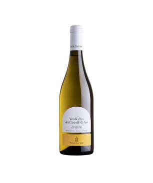 Verdicchio dei Castelli di Jesi Classico Superiore DOCG 2024 - Tenuta San Sisto