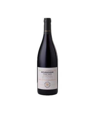 Bourgogne Aoc Pinot Noir 2022 - Domaine Chanson