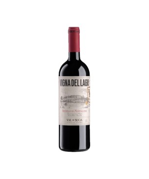 Brunello di Montalcino DOCG Vigna del Lago 2020 - Val di Suga