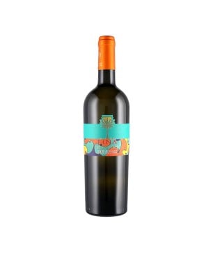 Sauvignon Blanc Terre Siciliane IGP Mamarì 2024 - Cantine Fina