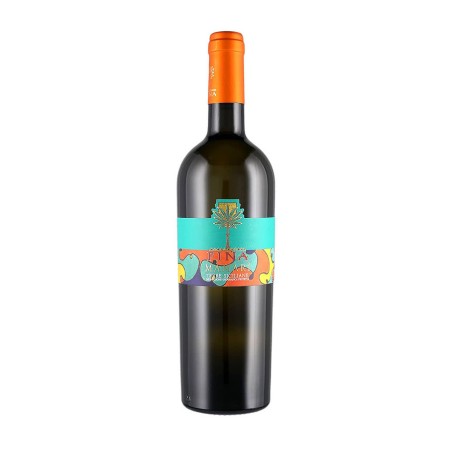 Sauvignon Blanc Terre Siciliane IGP Mamarì 2024 - Cantine Fina