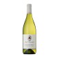 Sauvignon Venezia Giulia IGT 2024 - Attems