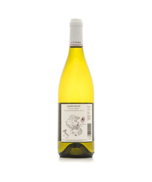 Chardonnay Venezia Giulia IGT 2024 - Attems