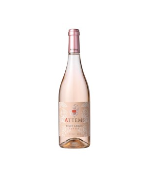 Pinot Grigio Ramato Friuli DOC 2024 - Attems