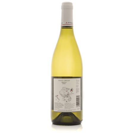 Pinot Grigio Friuli DOC 2024 - Attems