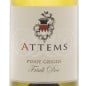 Pinot Grigio Friuli DOC 2024 - Attems