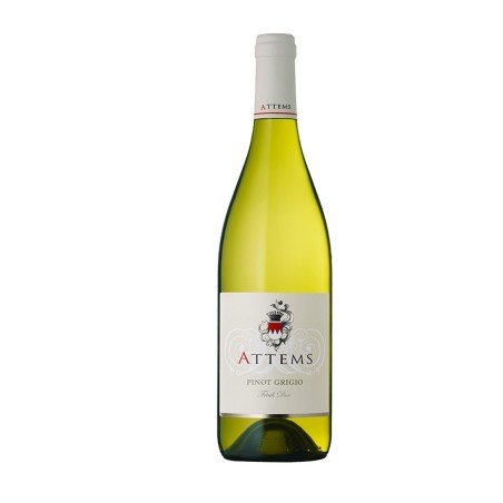 Pinot Grigio Friuli DOC 2024 - Attems