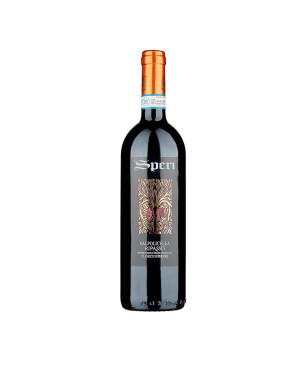 Valpolicella Ripasso Classico Superiore DOC 2022 - Speri