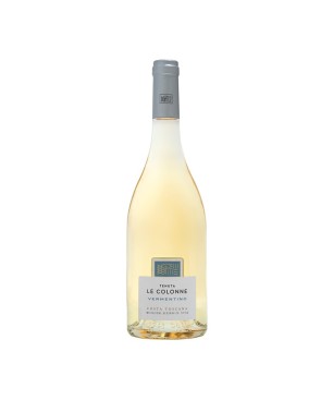 Vermentino Costa Toscana IGT 2024 - Tenuta Le Colonne