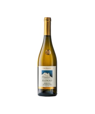 Moscato Di Terracina Secco DOP Elogio 2024 – Villa Gianna