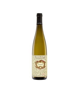 Sauvignon Colli Orientali del Friuli DOC 2024 - Livio Felluga