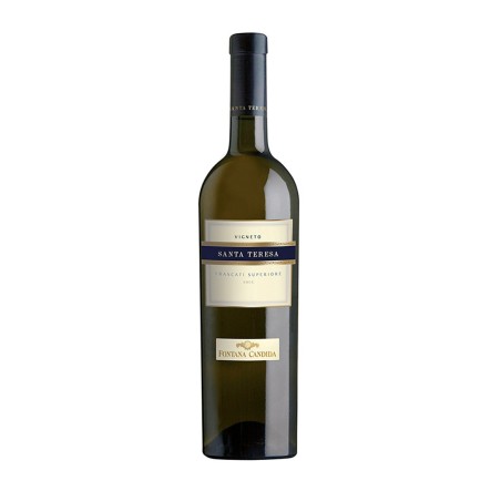 Frascati Superiore DOCG Vigneto Santa Teresa 2024 - Fontana Candida