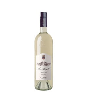 Pinot Grigio Toscana IGT San Angelo 2024 - Banfi