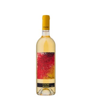 Colore Bianco Toscana  IGT 2022 - Bibi Graetz